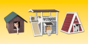 Top Best Cat Houses