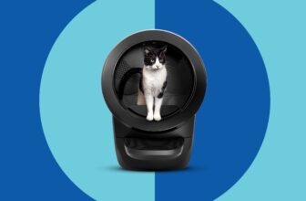 10 Best Litter Robots