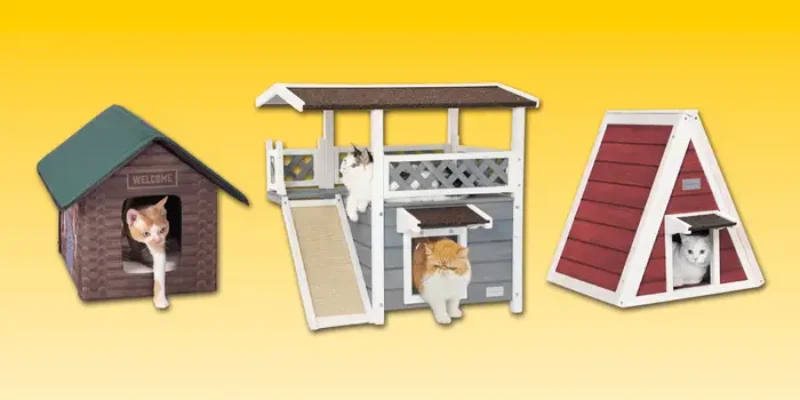 Top 10 Best Cat Houses of 2026
